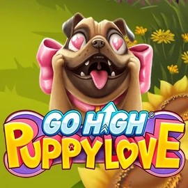 Go High Puppy Love online slot from RubyPlay – play at spinsteincasino.ch